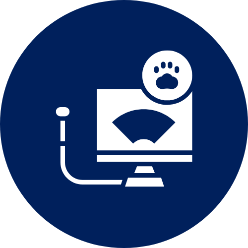 detection testing icon diagnostics icon