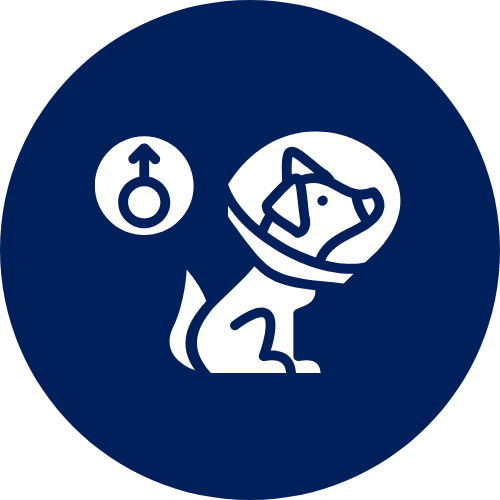 spay neuter icon spay and neuter icon