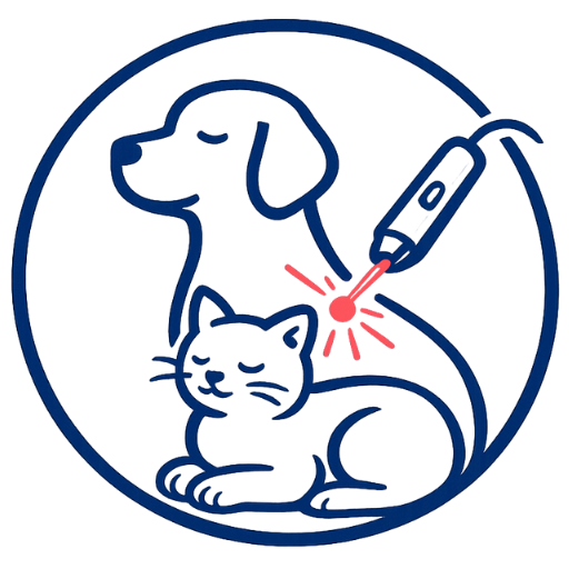 Laser Icon 