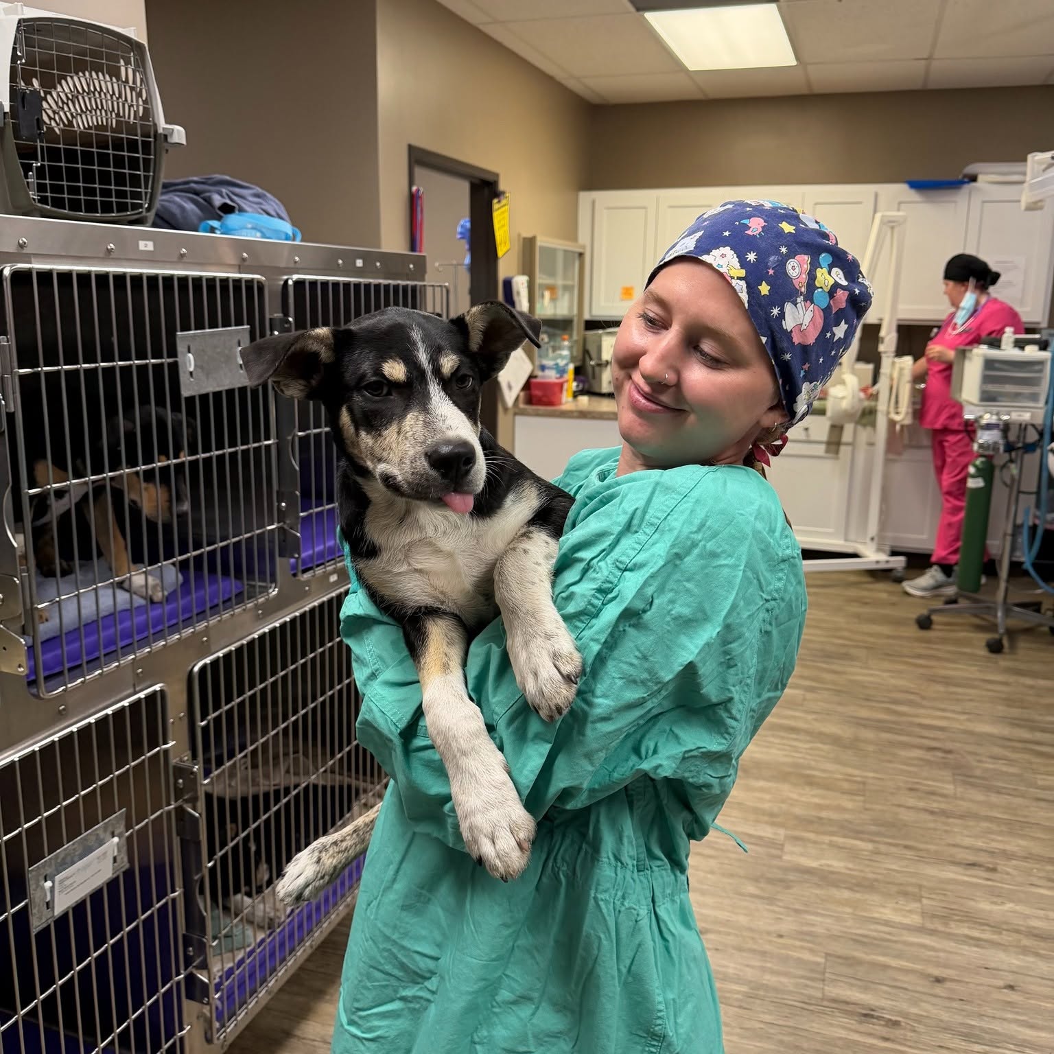 Grand Avenue Veterinary Hospital Veterinarians